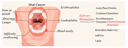 https://jsss.copernicus.org/articles/13/245/2024/jsss-13-245-2024-f01