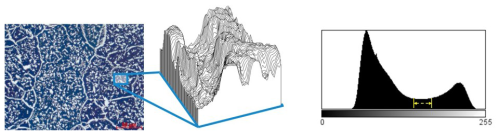 https://jsss.copernicus.org/articles/15/133/2026/jsss-15-133-2026-f01