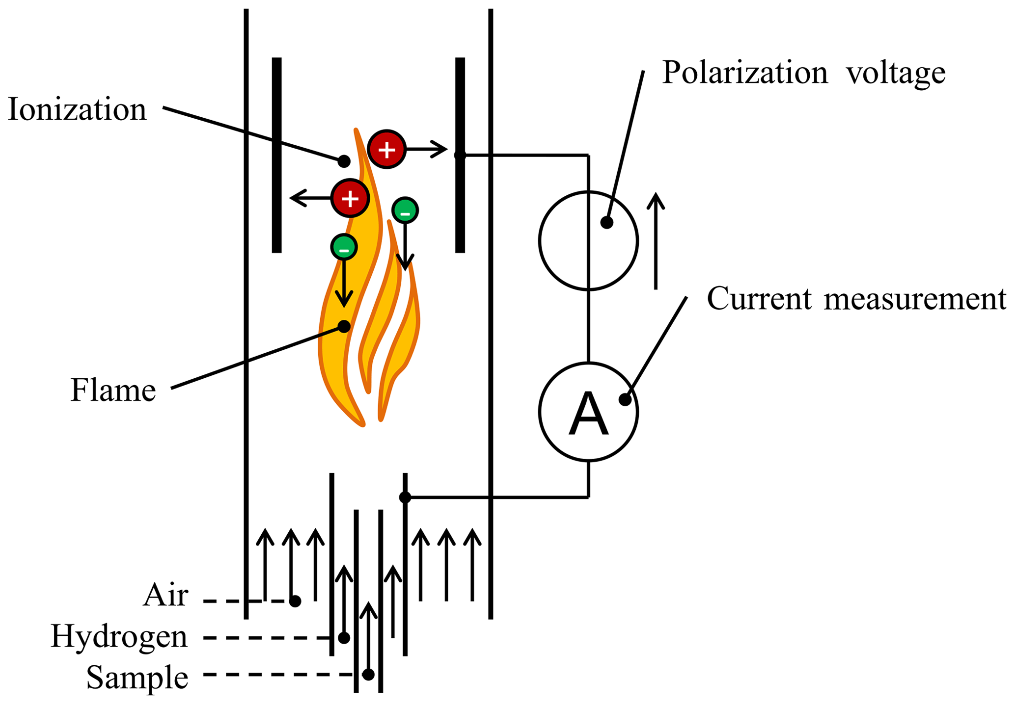 Rental Flame Ionization Detectors (FID)